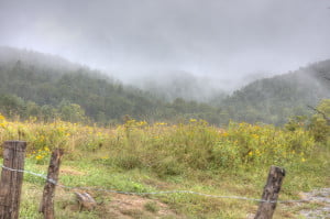 A Smokey Day At Cades Cove - Great Smoky Mountains National Park Near Gatlinburg, TN